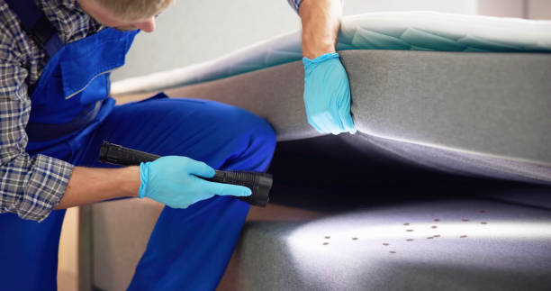 Best Pest Control for Restaurants  in East Falmouth, MA