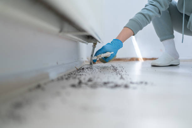 Best Wildlife Control Services  in East Falmouth, MA